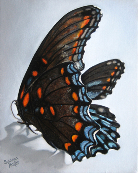 Contemplation: Still Regal by Susanna Pantas